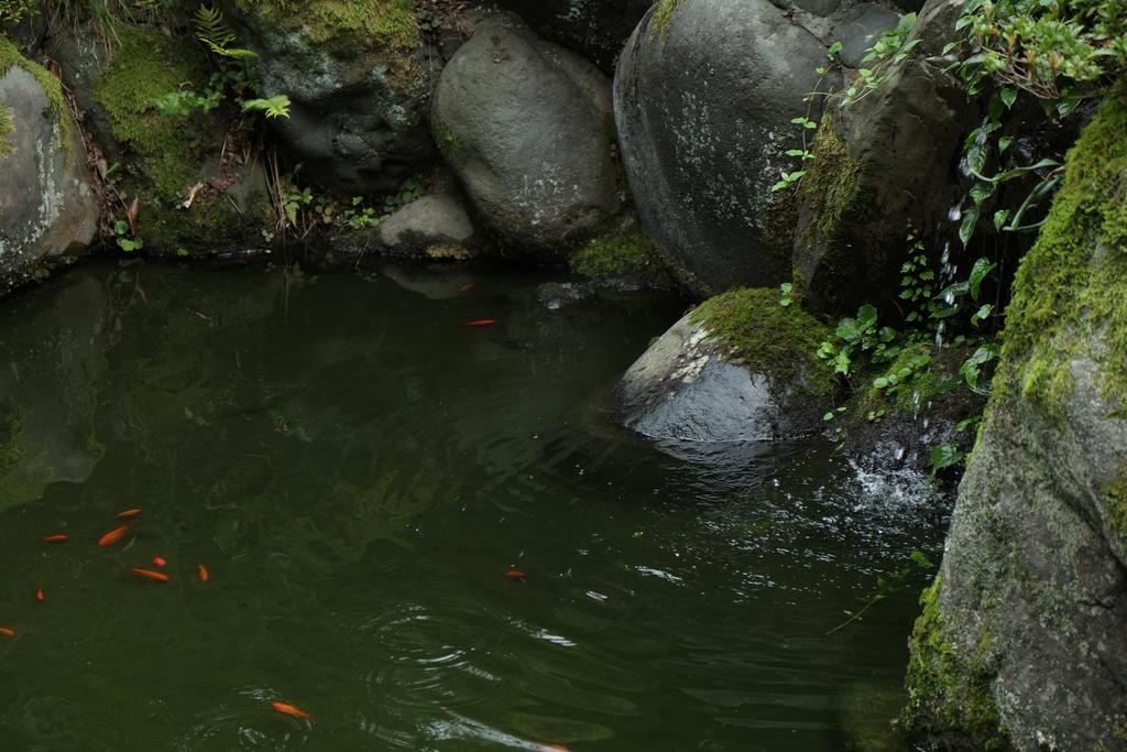 Etchu Yatsuo Base Oyatsu Villa Toyama Bagian luar foto